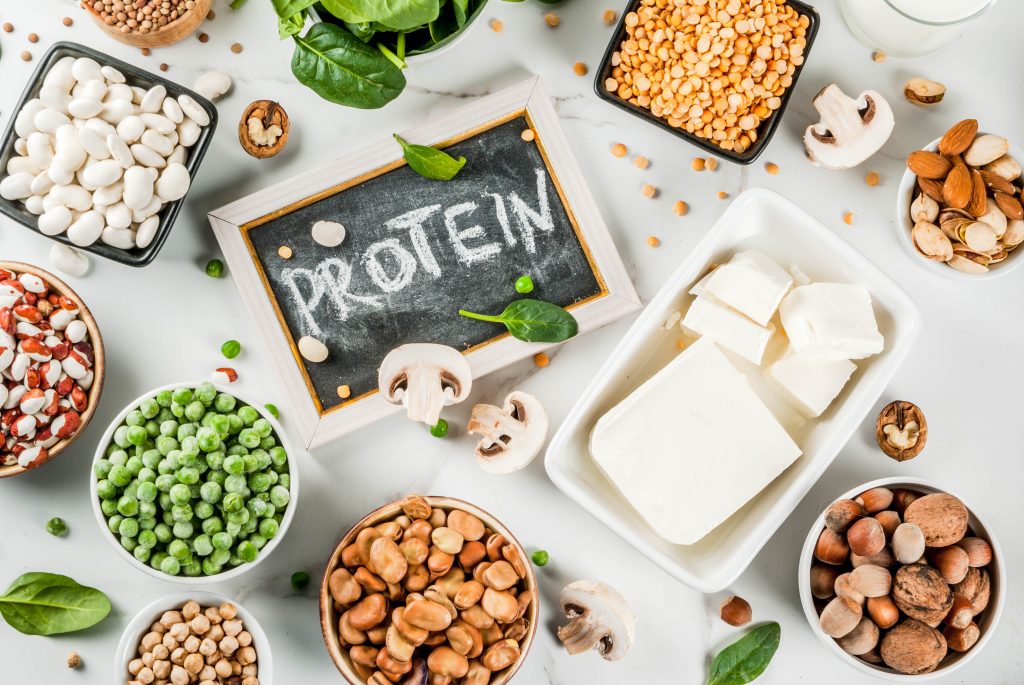 plant based nutrition